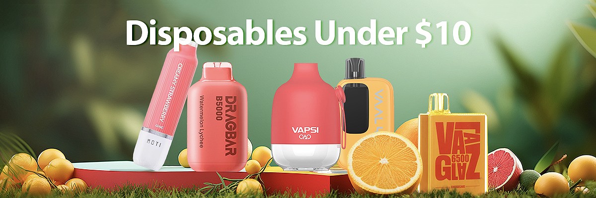 Disposables Under $10