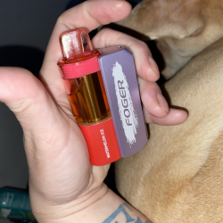 foger switch pro vape in stock